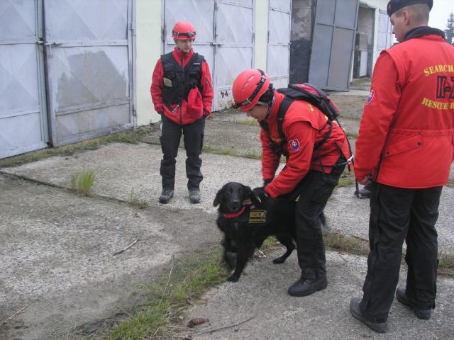 Cvičenie vo vojenskom výcvikovom stredisku Lešť 2009